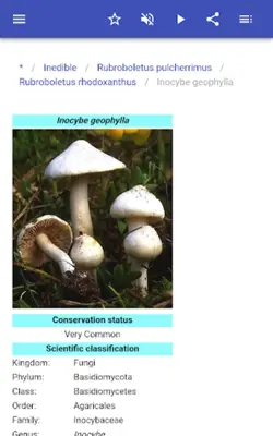 Mushrooms android App screenshot 5