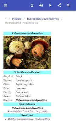 Mushrooms android App screenshot 6